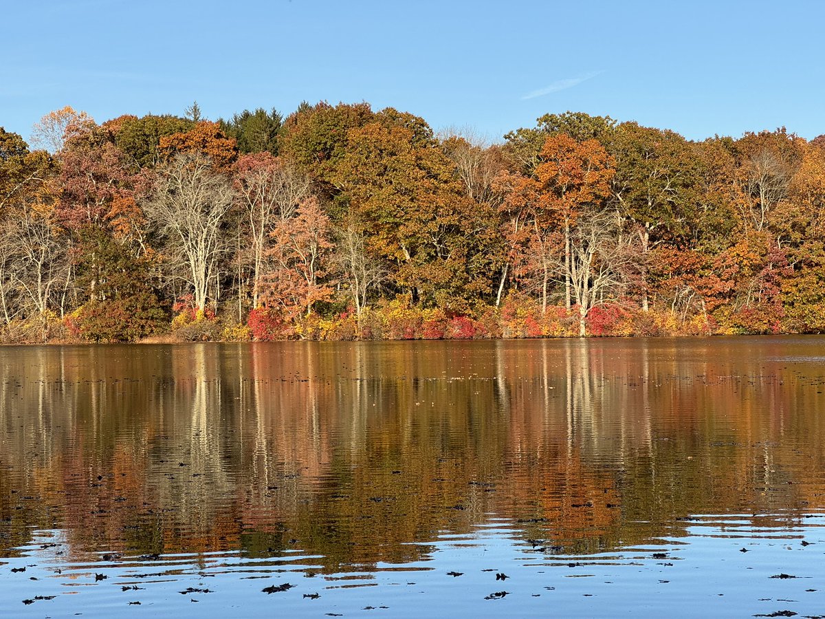 Mill Pond, Centerbrook, CT #CTNatureFans #TwitterNatureCommunity #FallFoliage