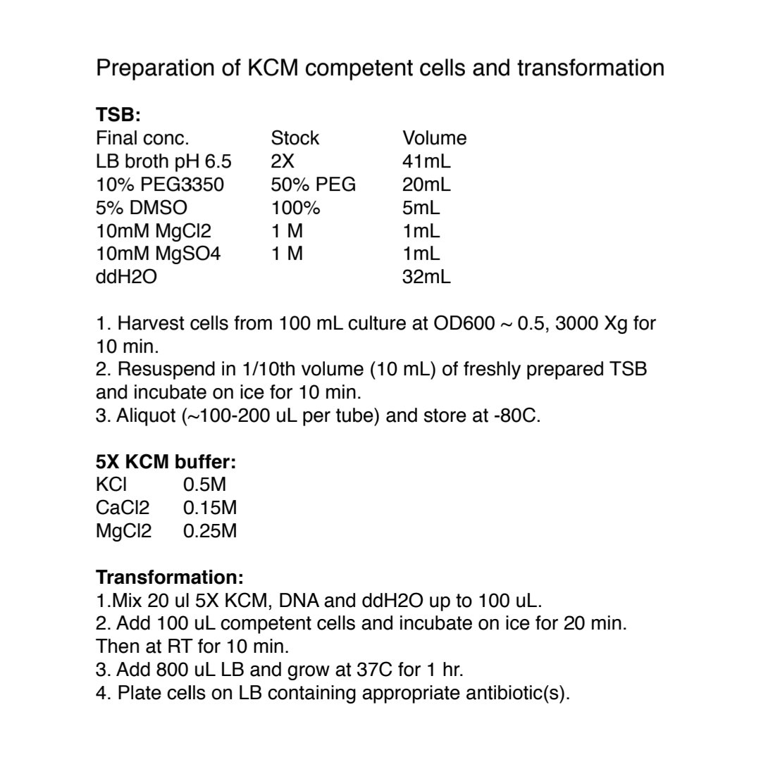 BacillusBaRosh 🌪️ tweet media