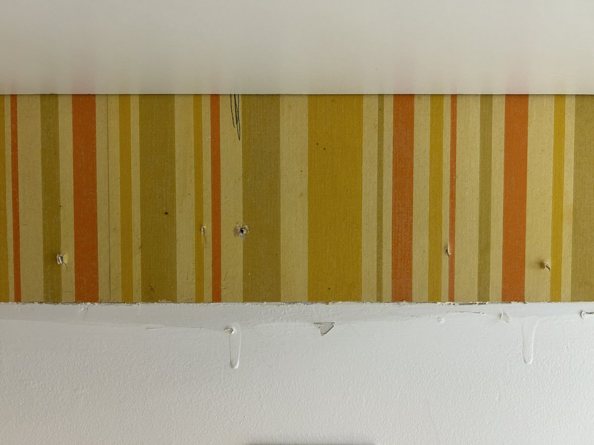 Original 1970s wallpaper revealed!