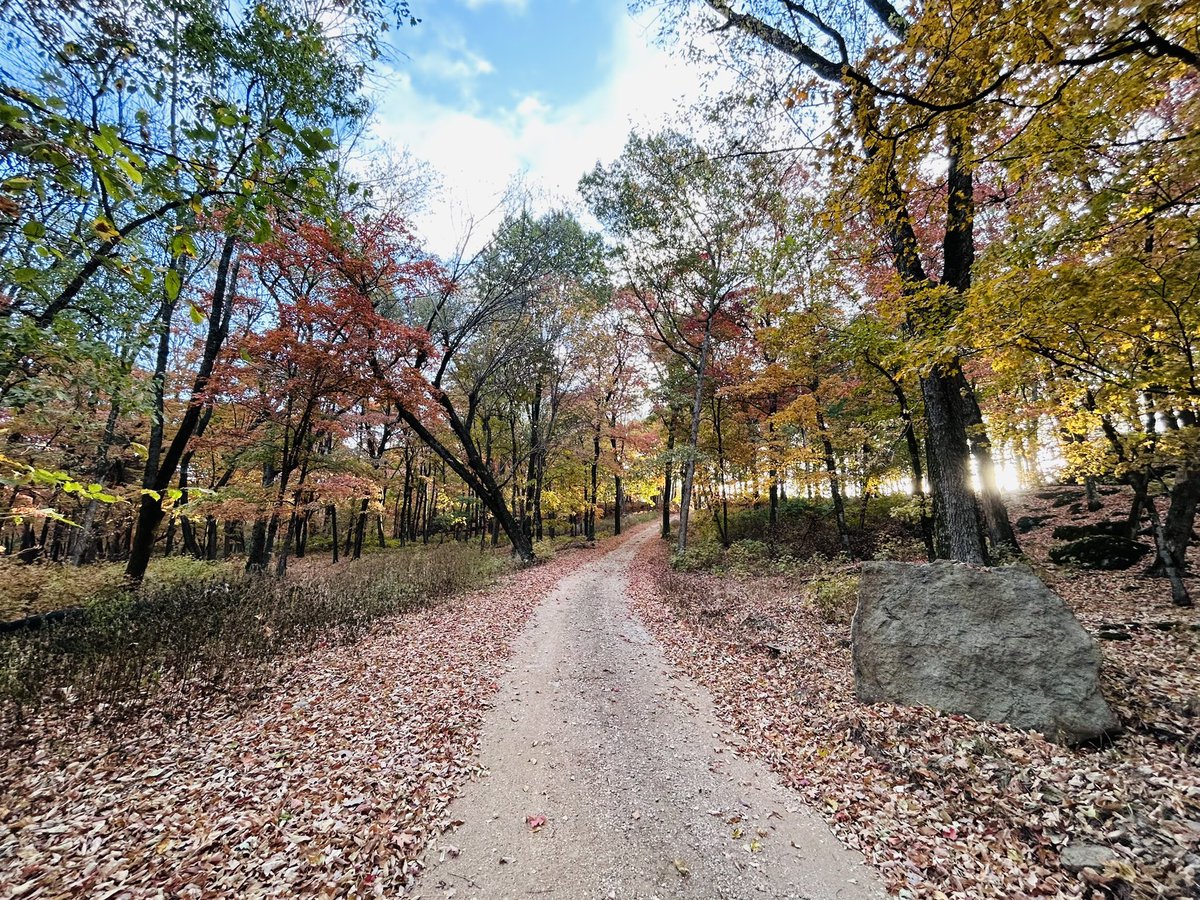 PhyllisMBell's tweet photo. "Autumn is a second spring when every leaf is a flower" Albert Camus https://t.co/OkiOyXDFnG