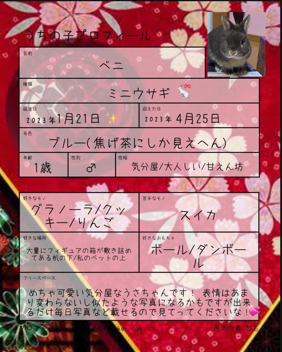 Sakura__4025's tweet photo. ベニちゃんのプロフィール！
これからじゃんじゃん投稿していくと思いますので良ければ見てってくださいな！🙌💞

どーでもいいけど🐇アイコン耳に付いてる花は「ロウバイ」で2枚目のやつは本垢とうさ垢のユーザー名の由来です！✨️ https://t.co/WabLSn9JOA