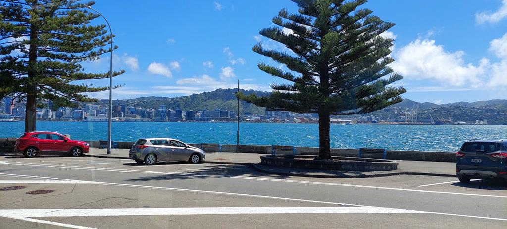 Ulrich Zuelicke tweet media