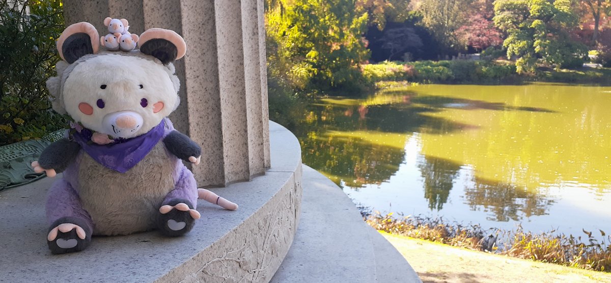GriffinFire's tweet photo. Miss Persephone "Persie" Plum's first outing was to the beautiful Mount Auburn Cemetery!
@littlesofts #SnugAlongsLove https://t.co/IVS0VaJYFJ