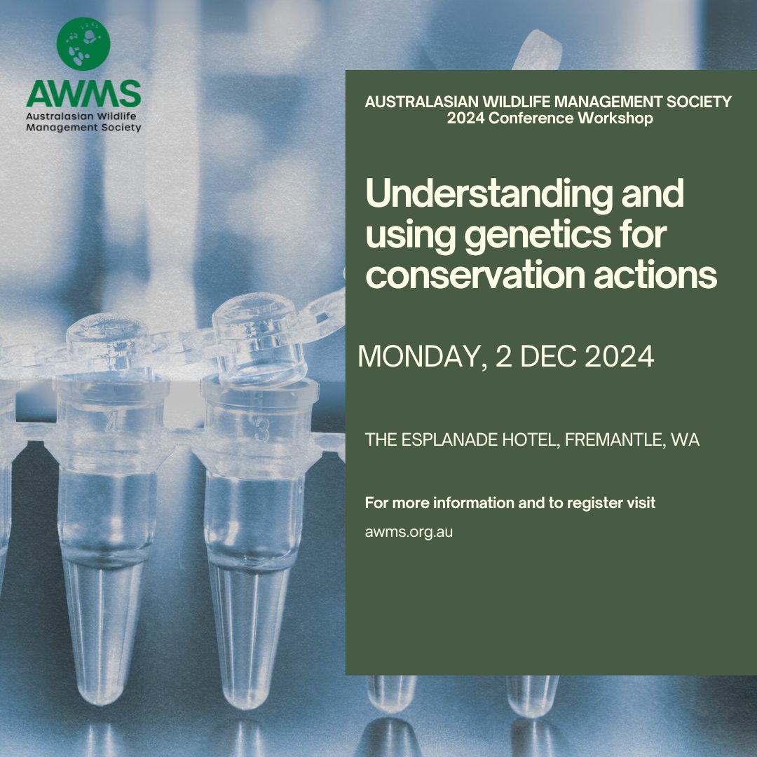 AWMS (@awmsociety) on Twitter photo 🧬 We still have spots for the TSI genetics in wildlife management workshop on 2 Dec 2024, in Fremantle WA! If you’re planning to collect genetic material for threatened species management, join <a href="/HoggCarolyn/">Prof Carolyn Hogg</a> and <a href="/persoonia/">Kym Ottewell</a> to learn more. Register today! members.awms.org.au/resources/Docu… 🧬 We still have spots for the TSI genetics in wildlife management workshop on 2 Dec 2024, in Fremantle WA! If you’re planning to collect genetic material for threatened species management, join <a href="/HoggCarolyn/">Prof Carolyn Hogg</a> and <a href="/persoonia/">Kym Ottewell</a> to learn more. Register today! members.awms.org.au/resources/Docu…