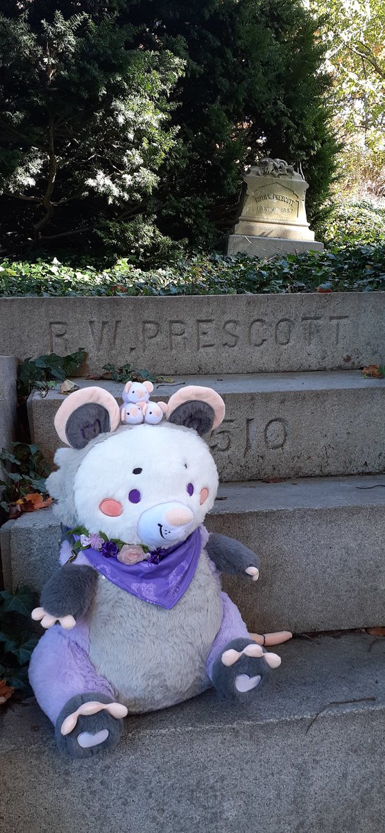 GriffinFire's tweet photo. @littlesofts Persie Plum at Mount Auburn, part four – and home again!
@littlesofts #SnugAlongsLove https://t.co/78soa11rfi