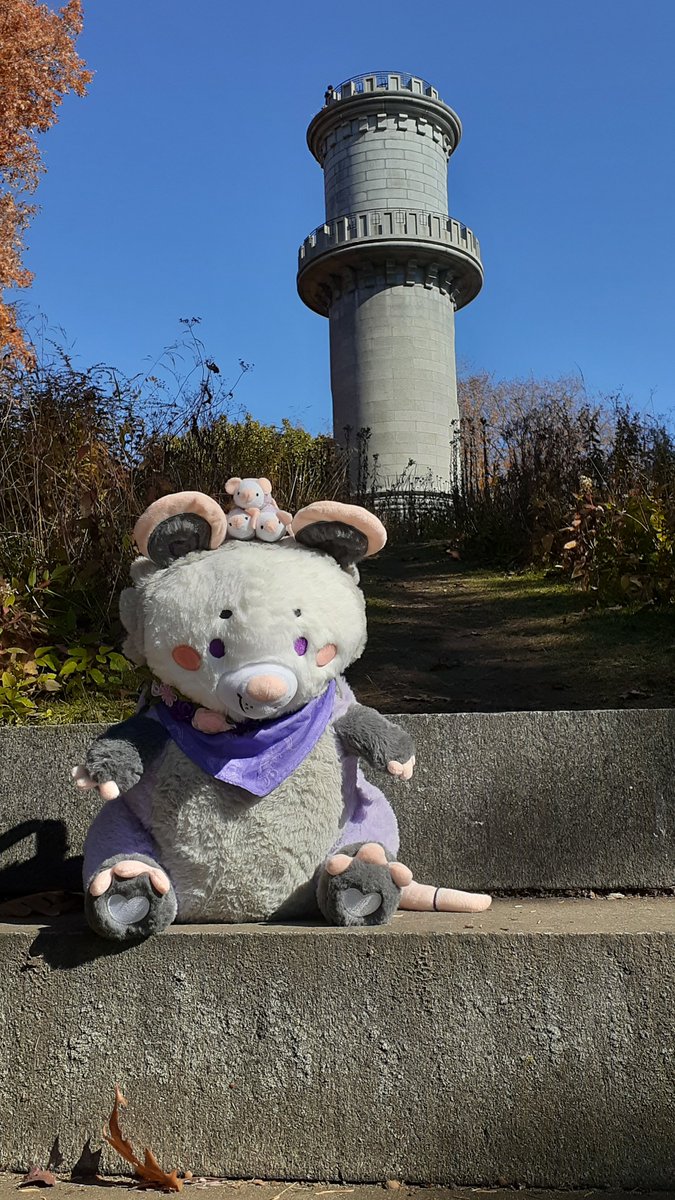 GriffinFire's tweet photo. @littlesofts Persie Plum at Mount Auburn, part four – and home again!
@littlesofts #SnugAlongsLove https://t.co/78soa11rfi