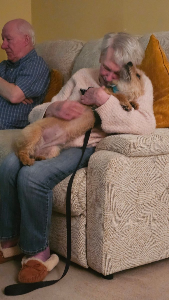 Part of the reason we adopted Peggy so soon after losing our sweet wee boy Quad, was that my Mum desperately wanted a dog in her life. Grieving, we weren't ready, but It's been more than I could have hoped for. Mums so happy, Dad loves her. Peg has showered sunshine on us all.