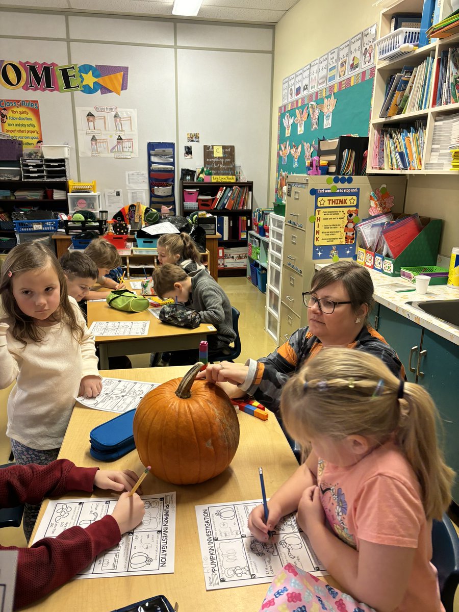 Tracy Kerrivan tweet media