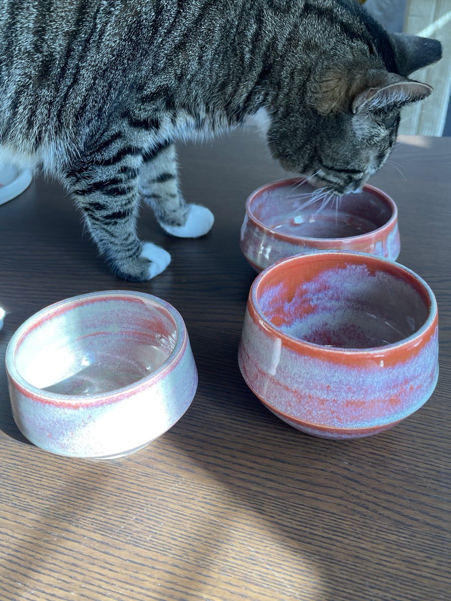 bowls from this week + experimenting with glaze layering