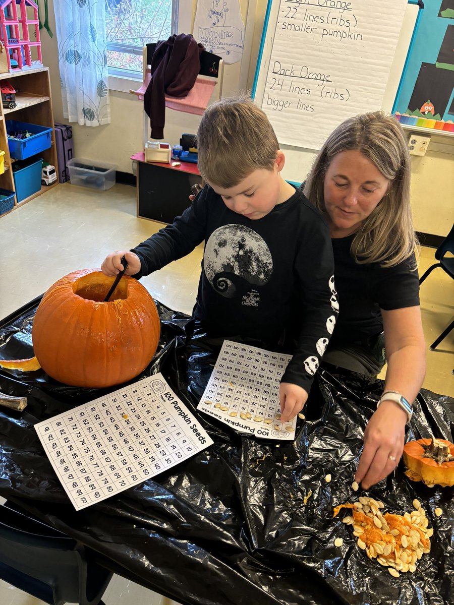 Tracy Kerrivan tweet media