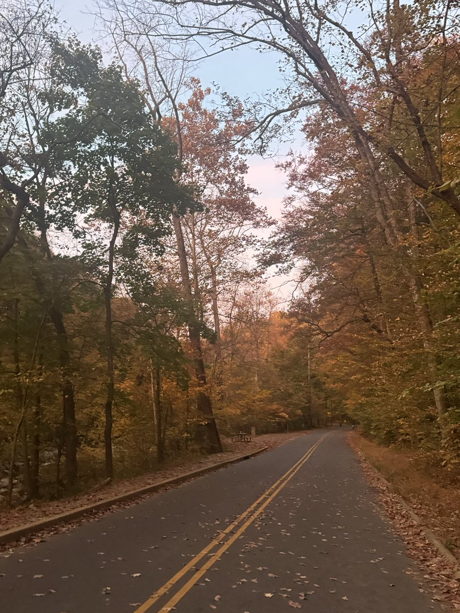 genevcoffey's tweet photo. Another great night for a run in DC, this time in #RockCreekPark. #Running #RunDC #RunningIsLife https://t.co/jZvgEpVL9q
