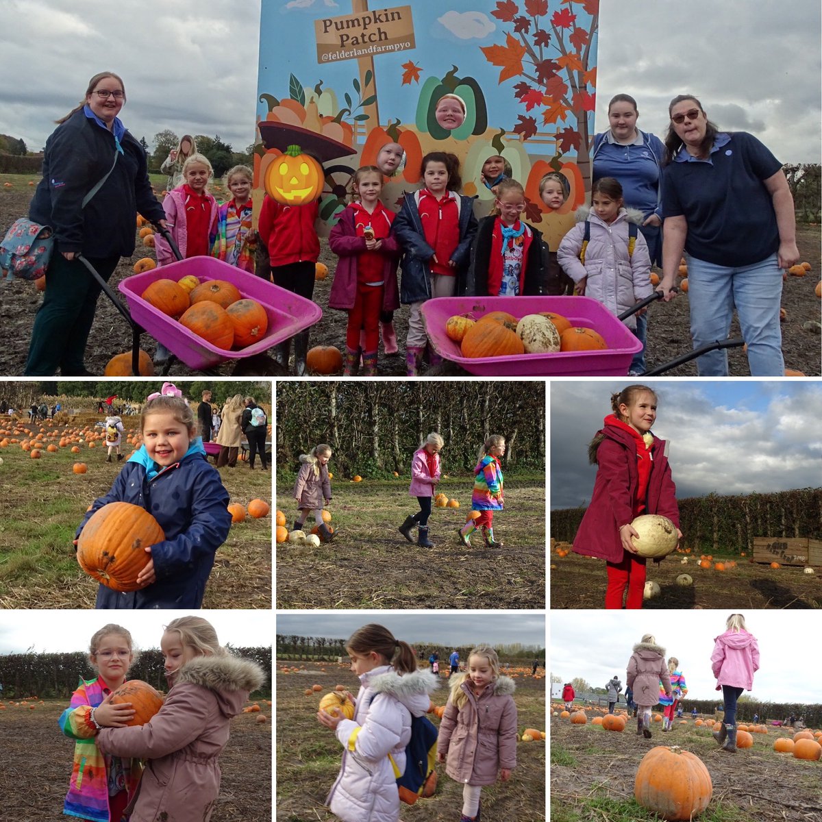 1stHampton's tweet photo. Rainbows 🌈 raid the pumpkin patch! 🎃👻

#halloween #girlguiding #hernebay https://t.co/Dx7rIsYDpb