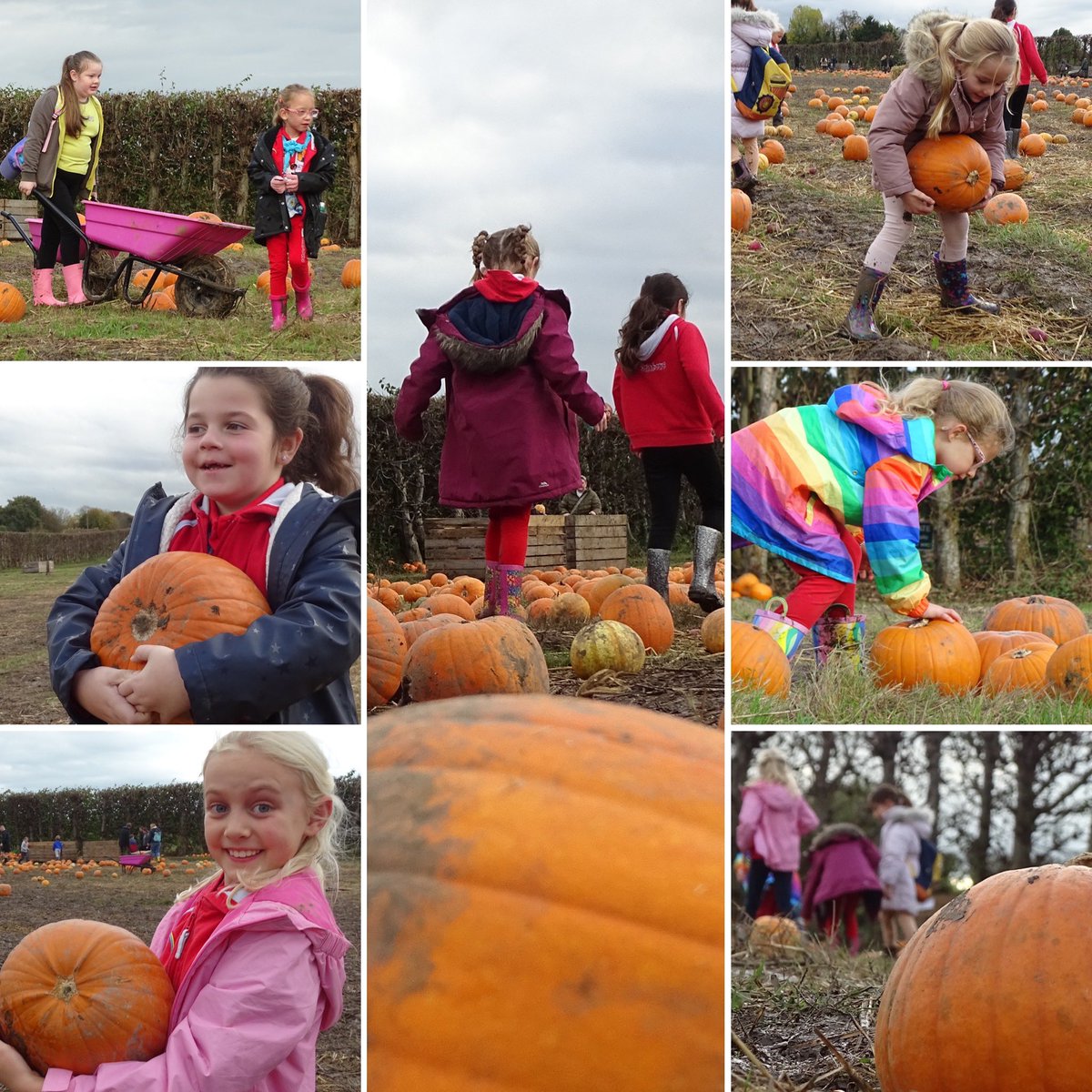 Rainbows 🌈 raid the pumpkin patch! 🎃👻

#halloween #girlguiding #hernebay