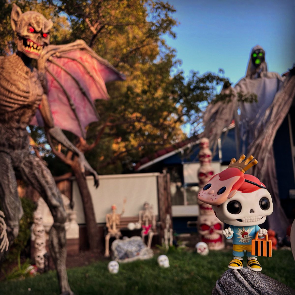 ccm8's tweet photo. Trick or Treat?!  ☠️ 🎃 👻 🍫 #Funkoween #funkophotoadaychallenge   #FreddyFunko #FreddyBones #funkofunatic #funaticofthemonth #followyourfun https://t.co/kmgvgK6F7i