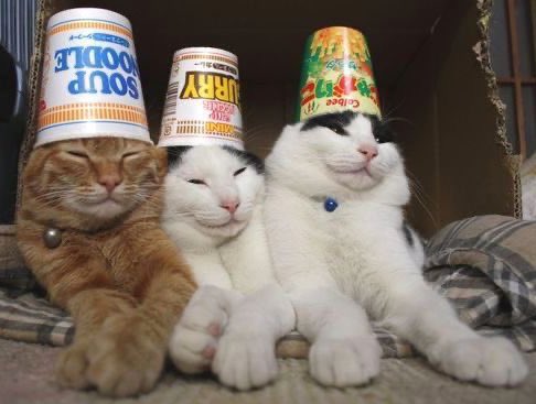 Now that we have all assembled, let us inaugurate this meeting with a singular ring of the Ancient Bell.

*bell dings one time*