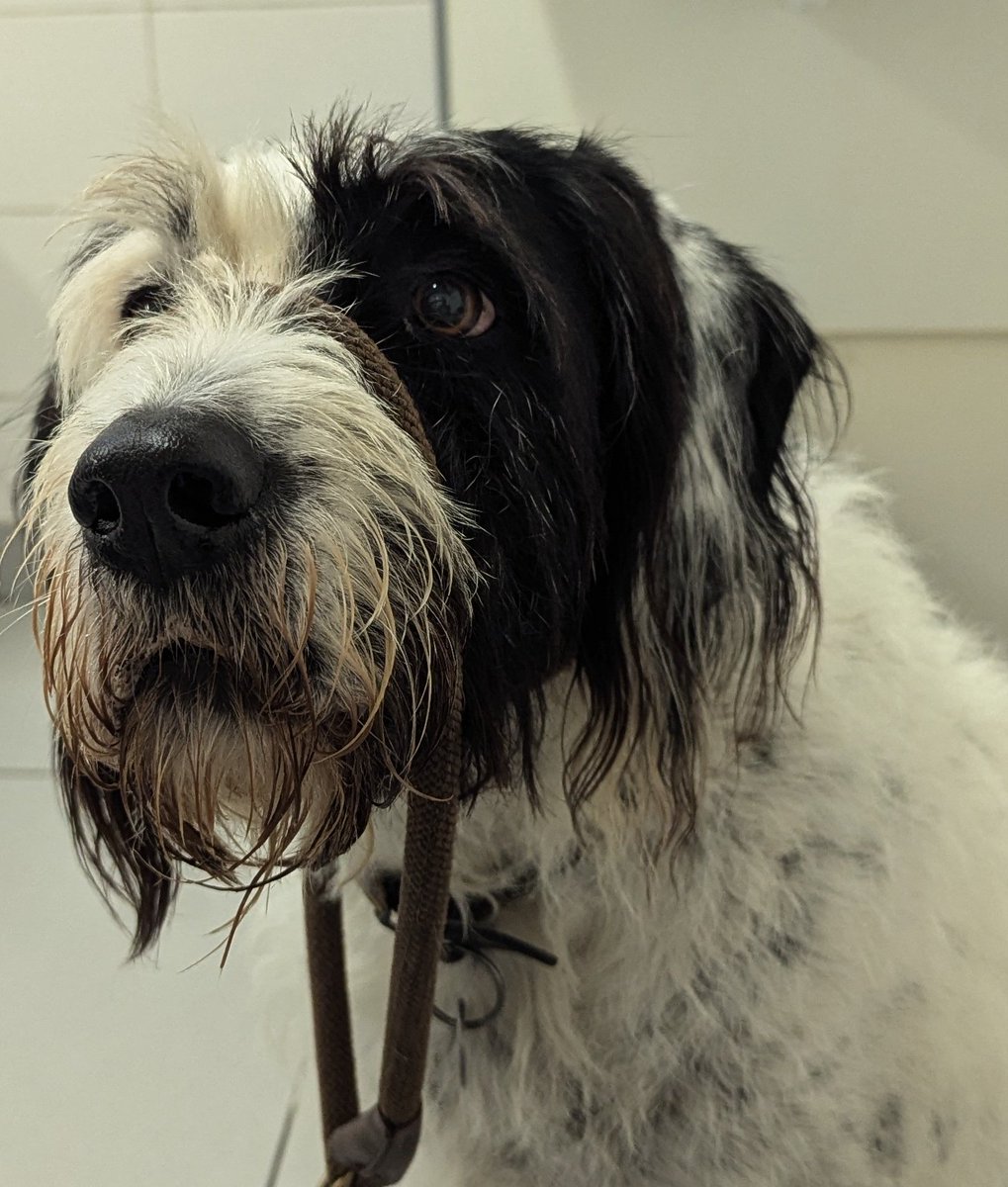 hey <a href="/motoway/">Moto Hospitality</a> - Luna and I want to share that Kerry at Cherwell services tonight was an absolute angel, helping with a mini stoma challenge even though she'd just knocked off for the night. Her politeness and helpfulness deserves a box of donuts 😁