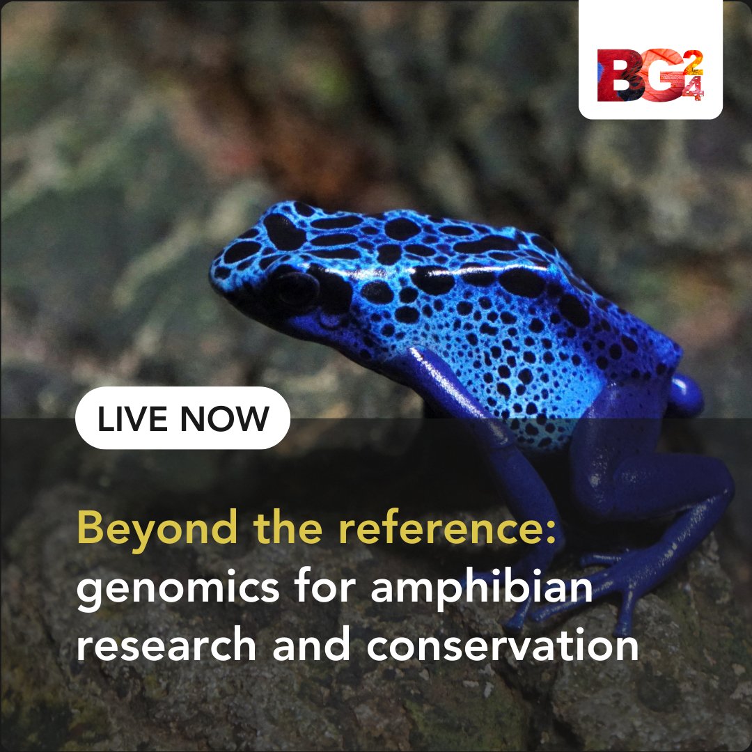 Earth BioGenome Project (@ebpgenome) on Twitter photo LIVE at #BG24 : Join us now to hear from #amphibian and #conservation researchers : <a href="/MicrobeMik/">Mikaeylah Davidson @microbemik.bsky.social</a>, <a href="/Ying_hhh/">Ying Chen</a> and <a href="/hayleybethfree/">Hayley Beth Free</a>
#genomics #genome #biodiversity #bioconservation LIVE at #BG24 : Join us now to hear from #amphibian and #conservation researchers : <a href="/MicrobeMik/">Mikaeylah Davidson @microbemik.bsky.social</a>, <a href="/Ying_hhh/">Ying Chen</a> and <a href="/hayleybethfree/">Hayley Beth Free</a>
#genomics #genome #biodiversity #bioconservation