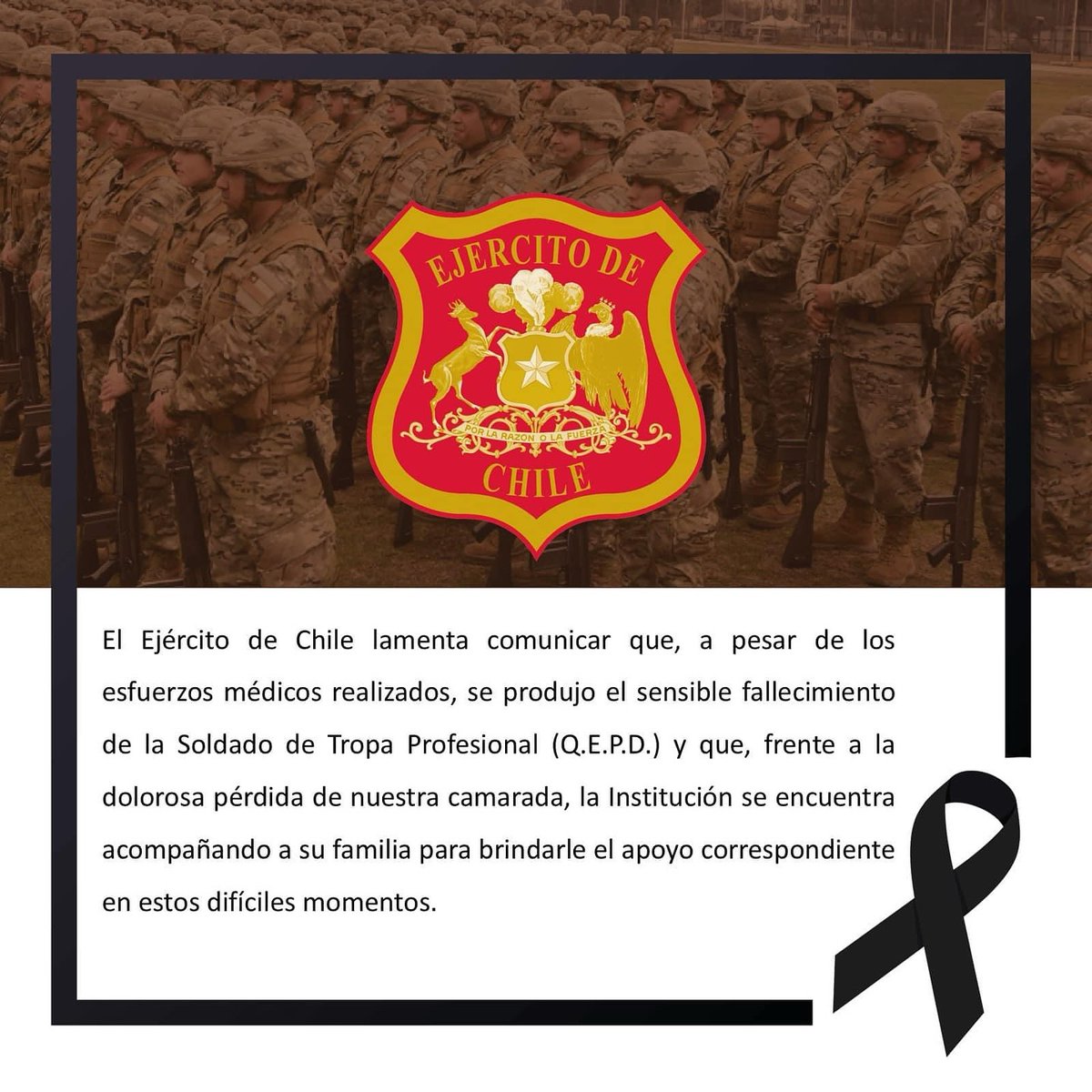 VI División de Ejército (@vide_cl_oficial) on Twitter photo 