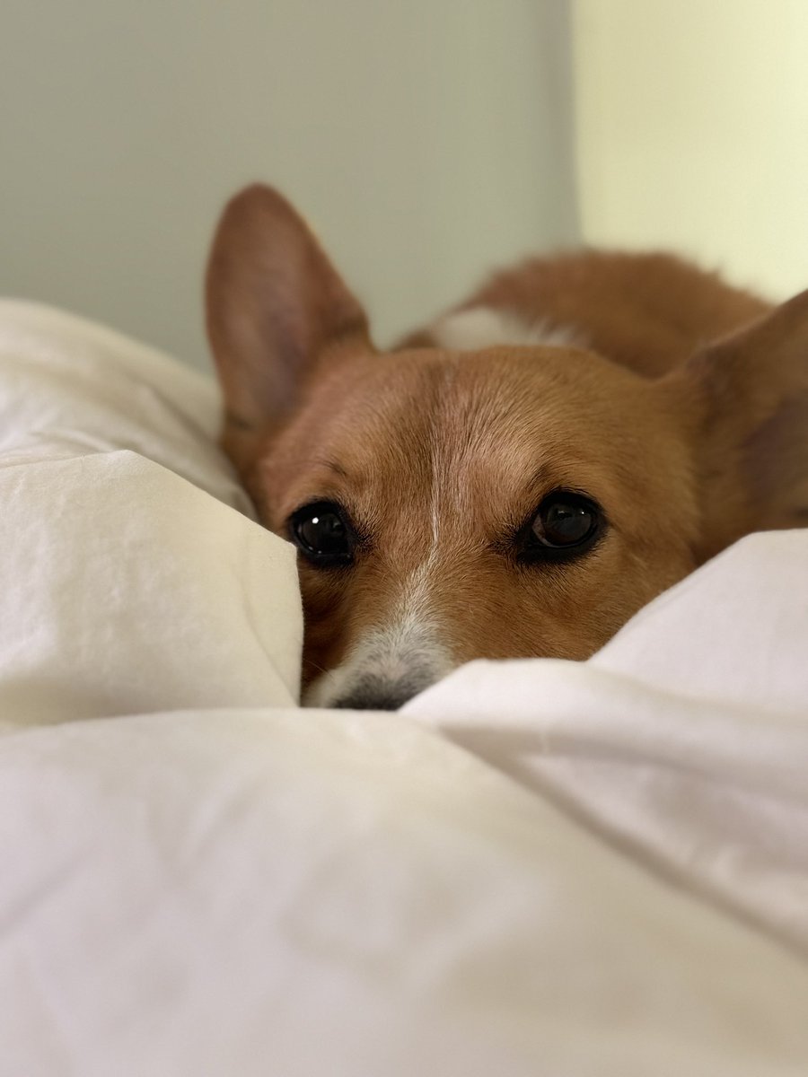 My lil snuggle bug ❤️