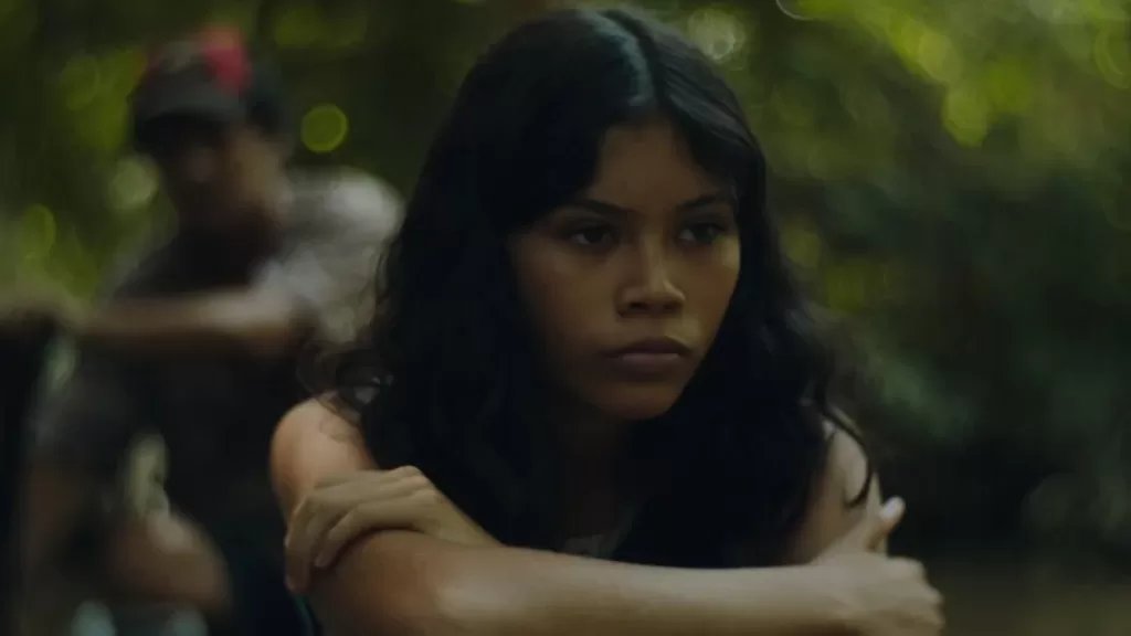 Tela Viva tweet media