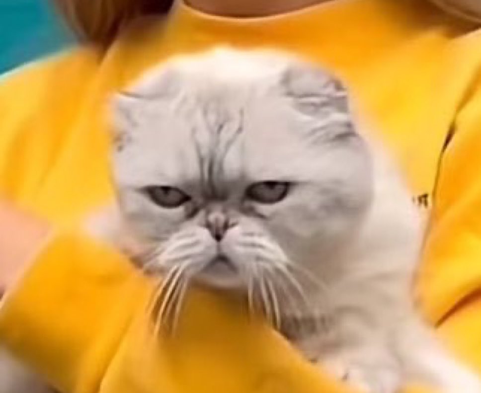 Listening to Tyler defend himself during the #LoveIsBlind reunion