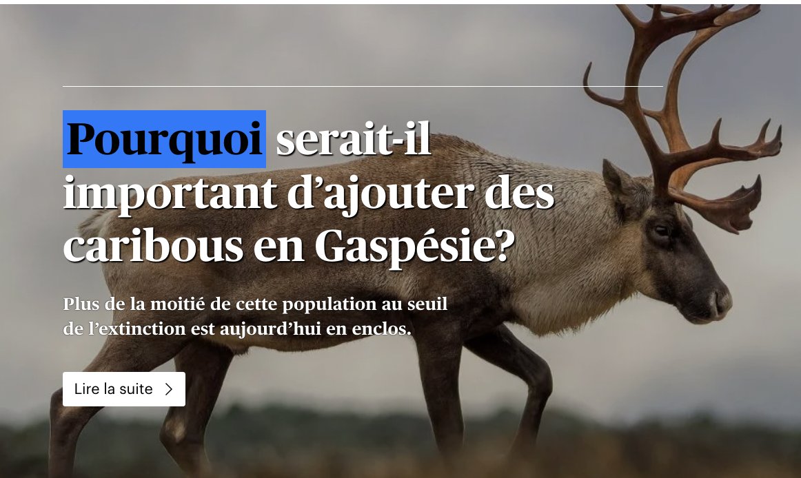 Alexandre Shields (@ashields_devoir) on Twitter photo Face à une population de caribous de la Gaspésie qui risque l’extinction, la <a href="/snapqc/">SNAP Québec</a> presse le gouvernement d’évaluer l’idée d’introduire de nouvelles bêtes. Une mesure qui pourrait favoriser le rétablissement, mais à condition de protéger l’habitat en fermant la porte aux Face à une population de caribous de la Gaspésie qui risque l’extinction, la <a href="/snapqc/">SNAP Québec</a> presse le gouvernement d’évaluer l’idée d’introduire de nouvelles bêtes. Une mesure qui pourrait favoriser le rétablissement, mais à condition de protéger l’habitat en fermant la porte aux