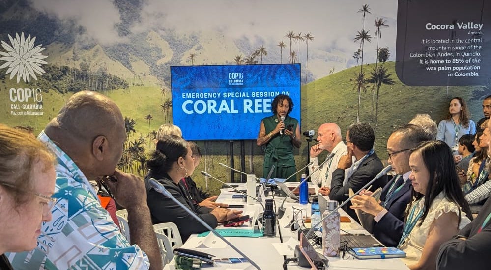 TheWCS's tweet image. The world is experiencing a fourth coral bleaching event. 

Today #COP16Colombia held an emergency session on coral reefs facilitated by WCS’s @diwigdi Valiente with @theWCS work recognized by partners from the Governments of Fiji and the Philippines. The time is now to protect…