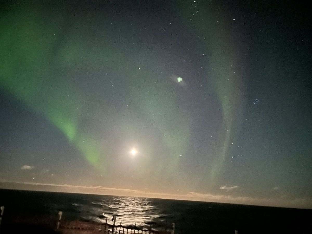 Jasmin Godbold tweet media