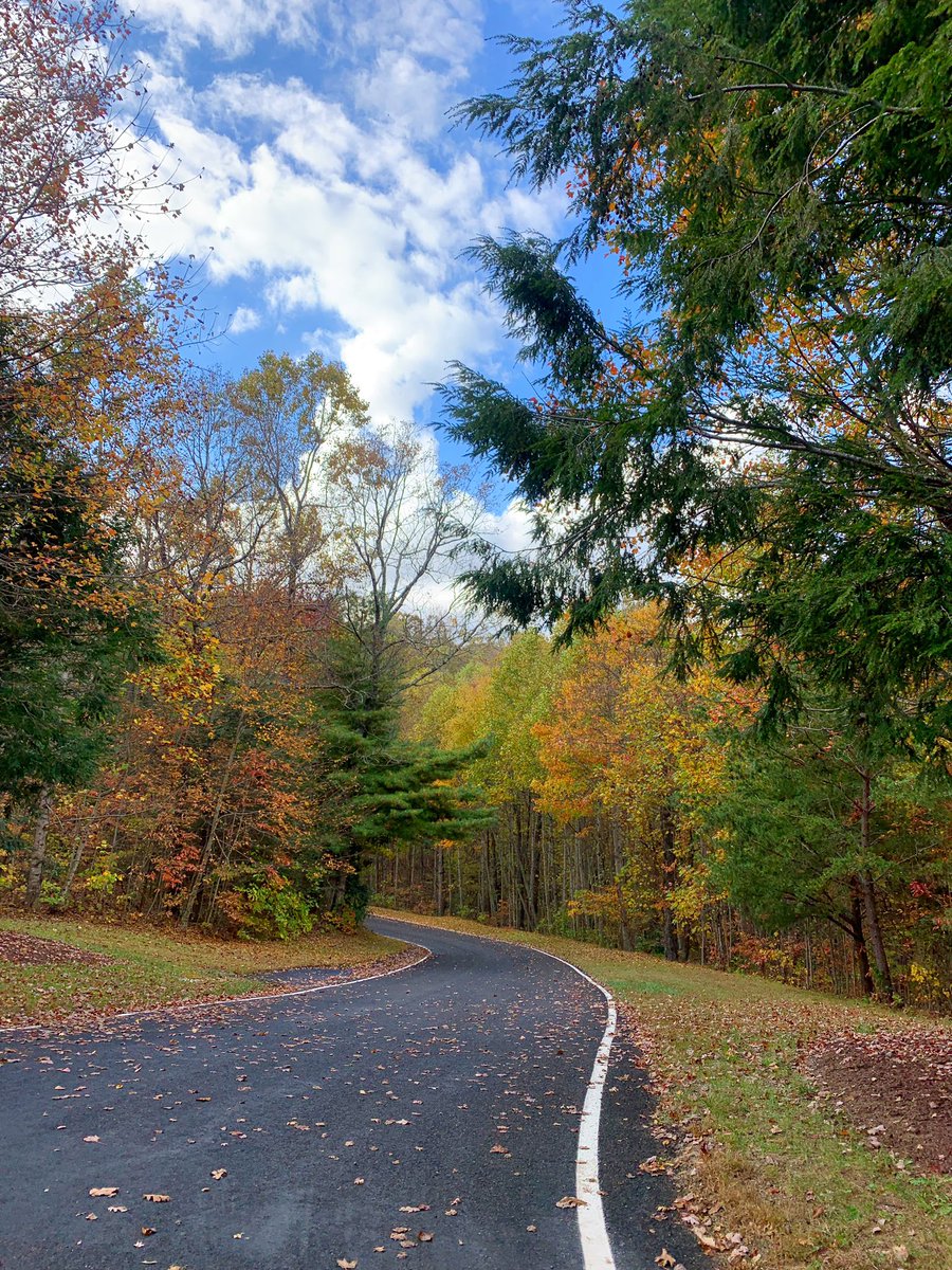 sydsully's tweet photo. Got to see my parents on this gorgeous fall day &amp; even saw some bears! 🐻 🍁 🍂 https://t.co/sUEaHLFwdH