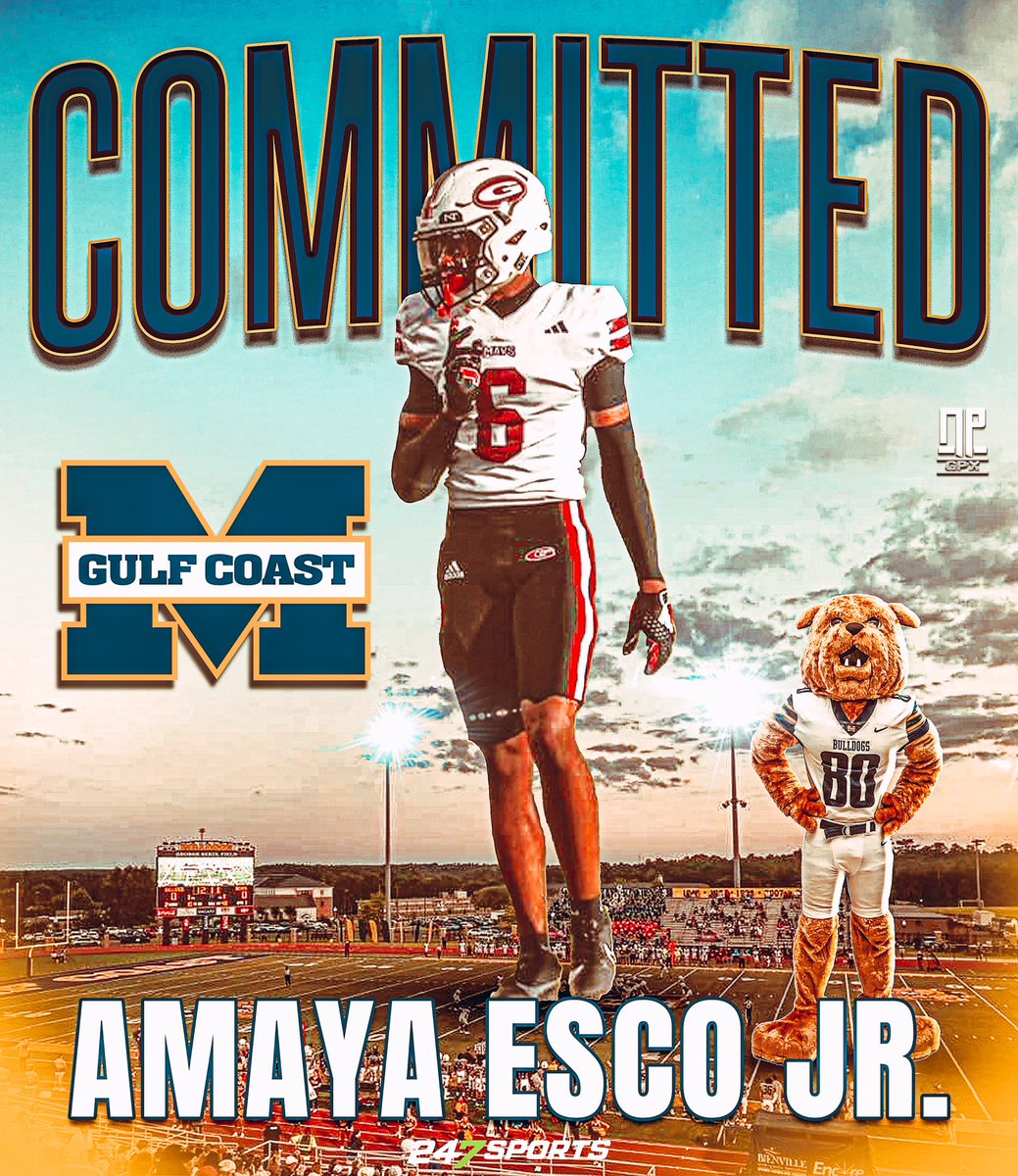 NPGPX Design tweet media