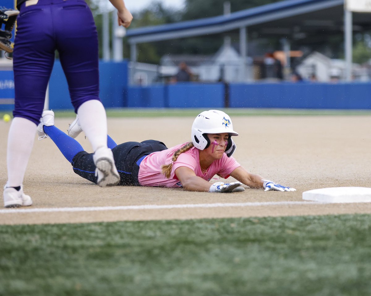 Shane Coleman Photography tweet media