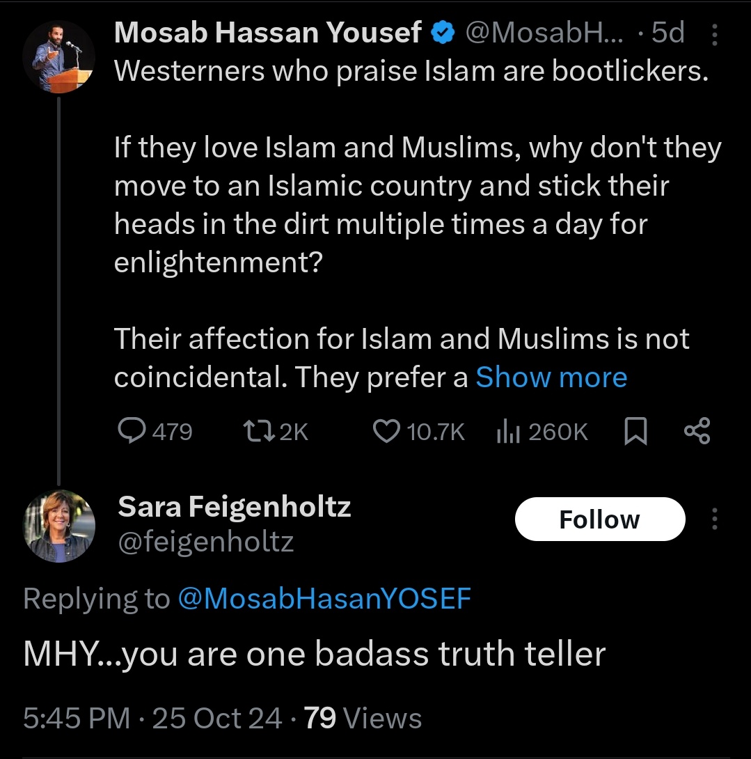 Four days before she called on Chicago's new school board president to resign for posts criticized as antisemitic, State Sen. Feigenholtz called someone a "badass truth teller" for a deeply Islamophobic tweet saying Muslims "stick their heads in the dirt multiple times a day"
