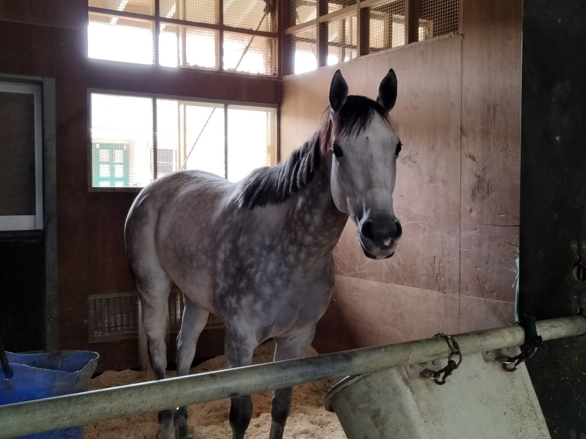 Take-chan tweet media