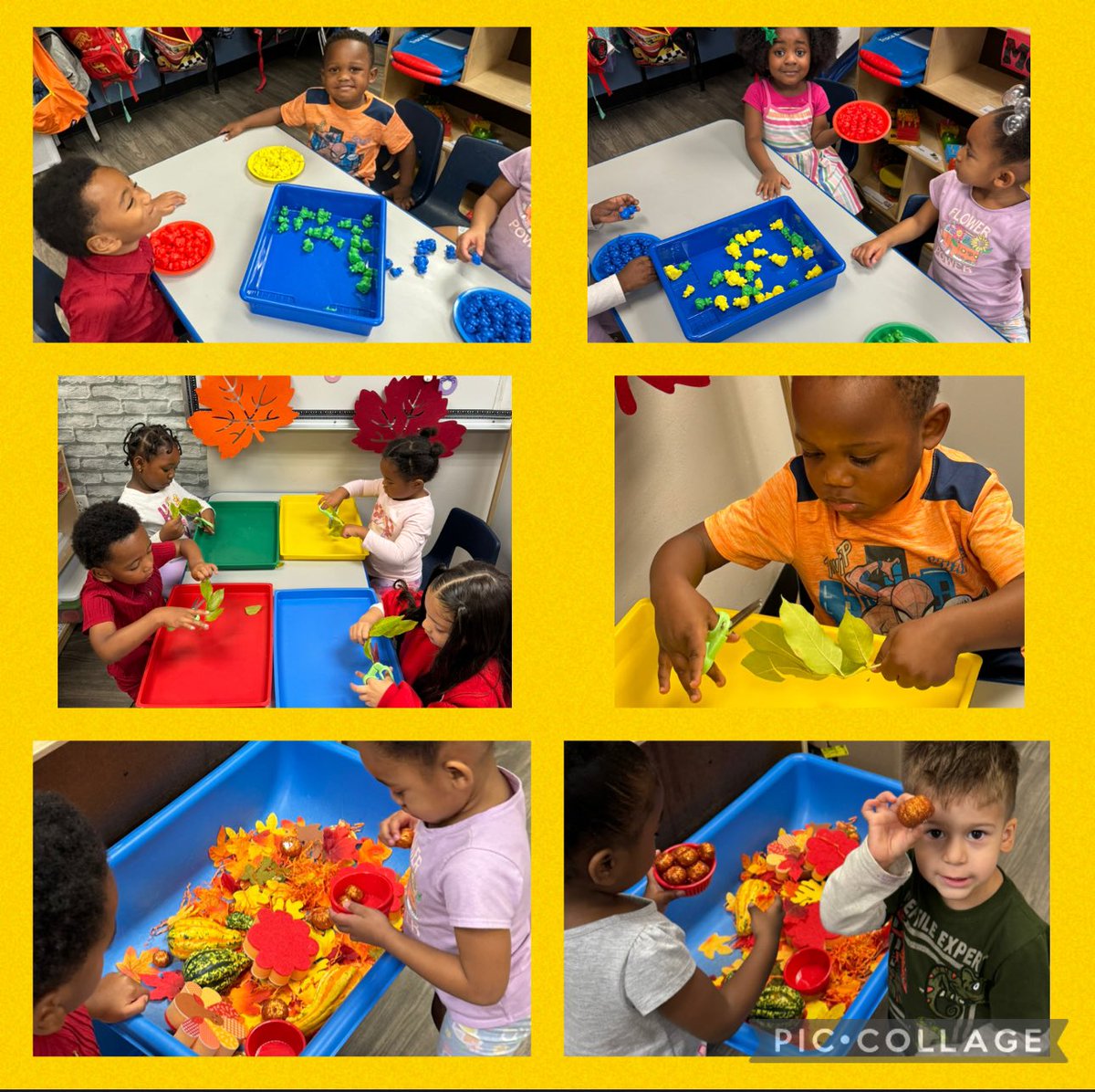 npinilla1's tweet photo. #Prek3 #RISD #Classification by Size, Color, Type: acorns/pumpkins #lighttable #FineMotor #Leaves, #Fall #Small #Medium #Big #DramaticPlay #Fastfood ✂️🍁🍂🍟🥤#WeCanDoHardThings #LoveWhatYouDo ❤️ https://t.co/eEkAhxALgC