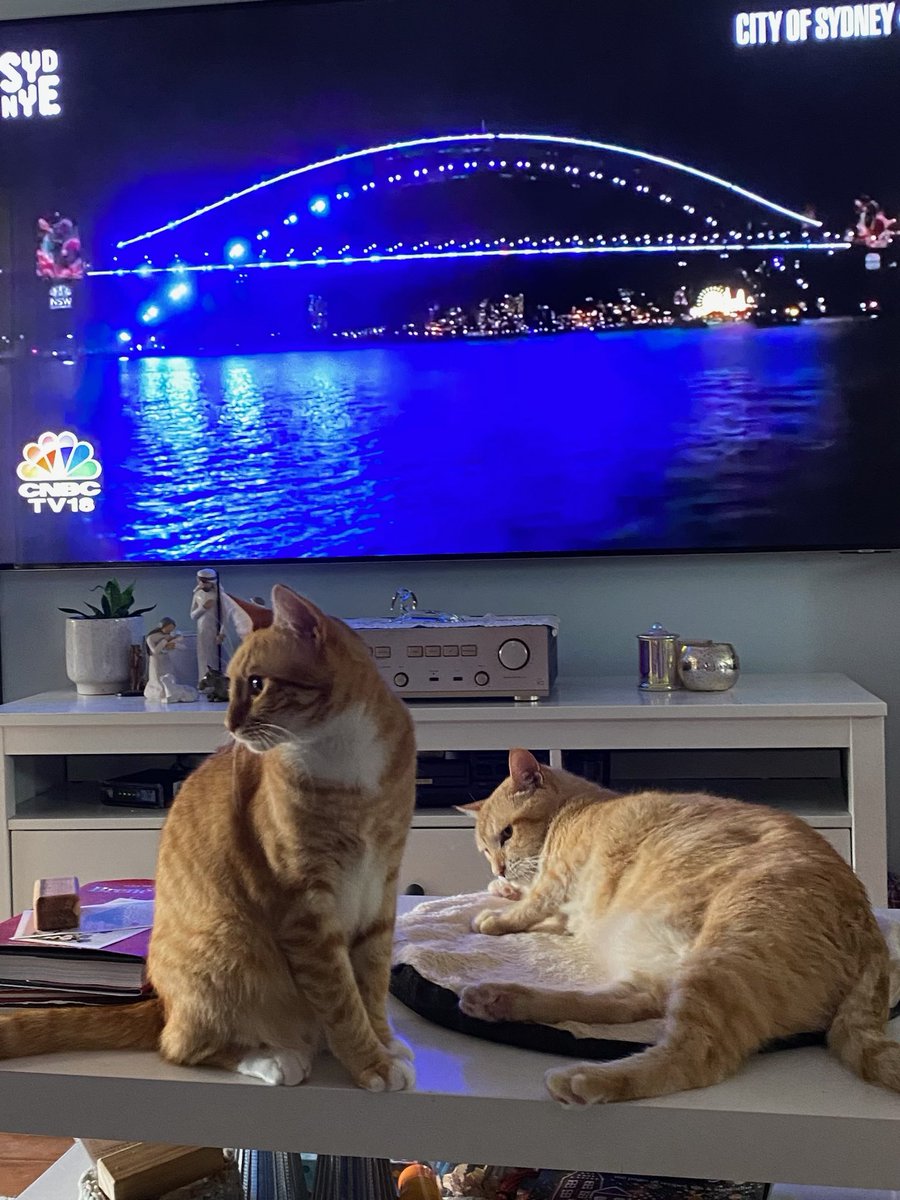 🎨 Just finished this vibrant portrait at [Cafe Name] in Logan, QLD!  Love the creative vibes here. ☕️✨ #art #portrait #drawing #colour #Logan #Queensland #cafelife #artist #creative
#photography Hans-Joachim Rosehr @extractionartisan