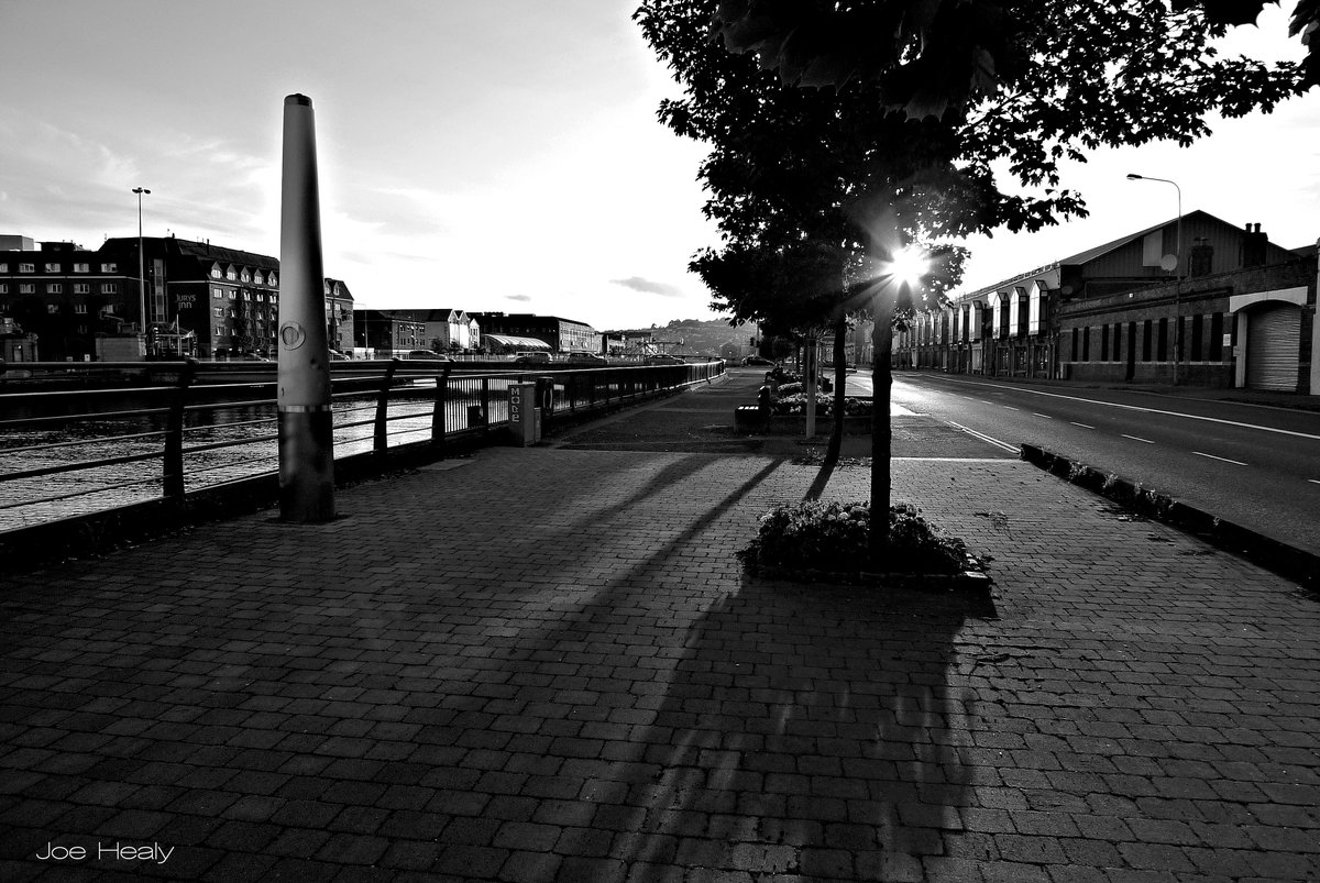 Joe Healy🇵🇸 tweet media