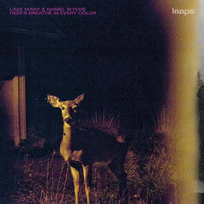 • lake mary + daniel wyche
• deer's breathe in every color
• laaps.bandcamp.com/album/deers-br…