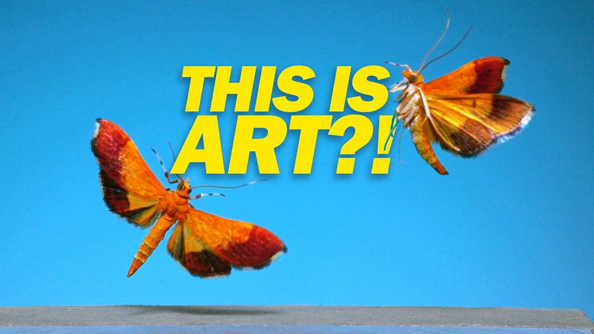 New Ant Lab video up on YT today: all about an art project that we published in National Geographic earlier this year. GO find it!