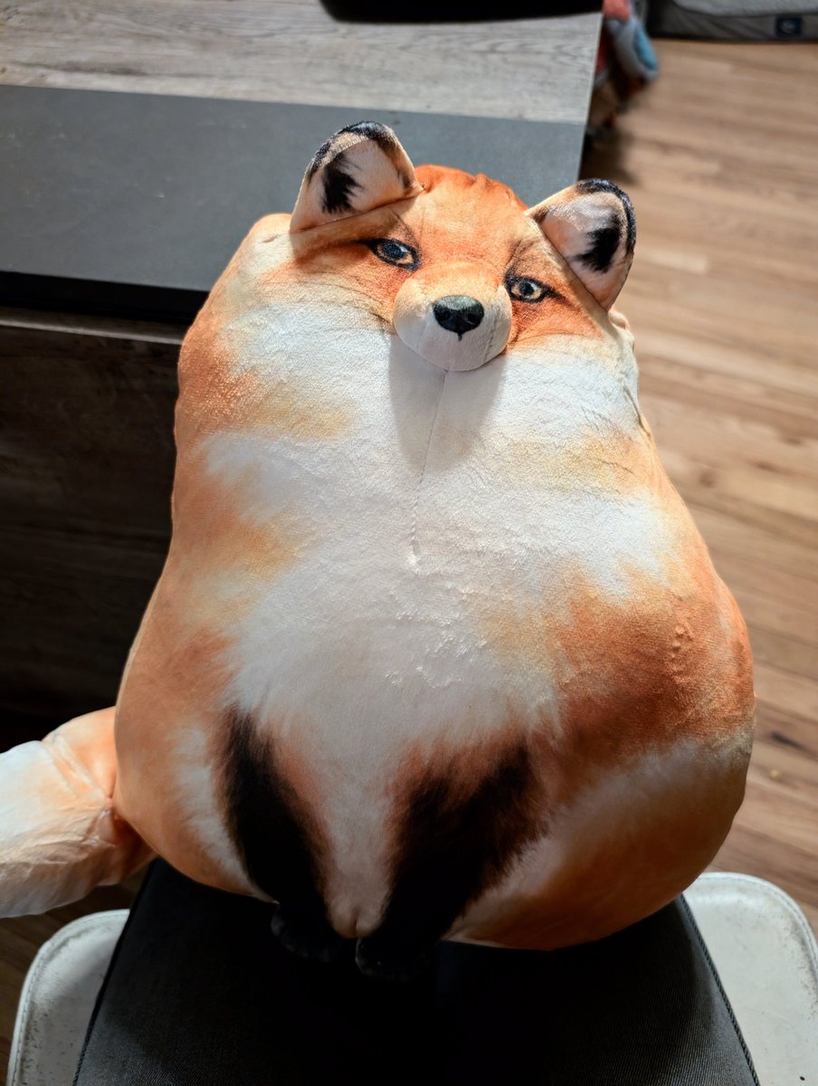 ThatAshFox's tweet photo. This is him, this is that guy. https://t.co/EwENUjP13k