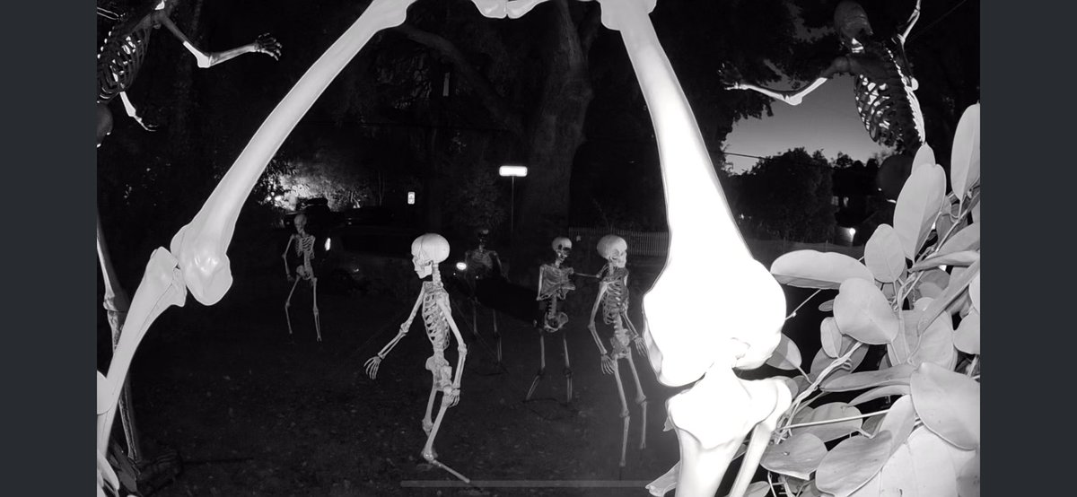 Fred Serricchio tweet media