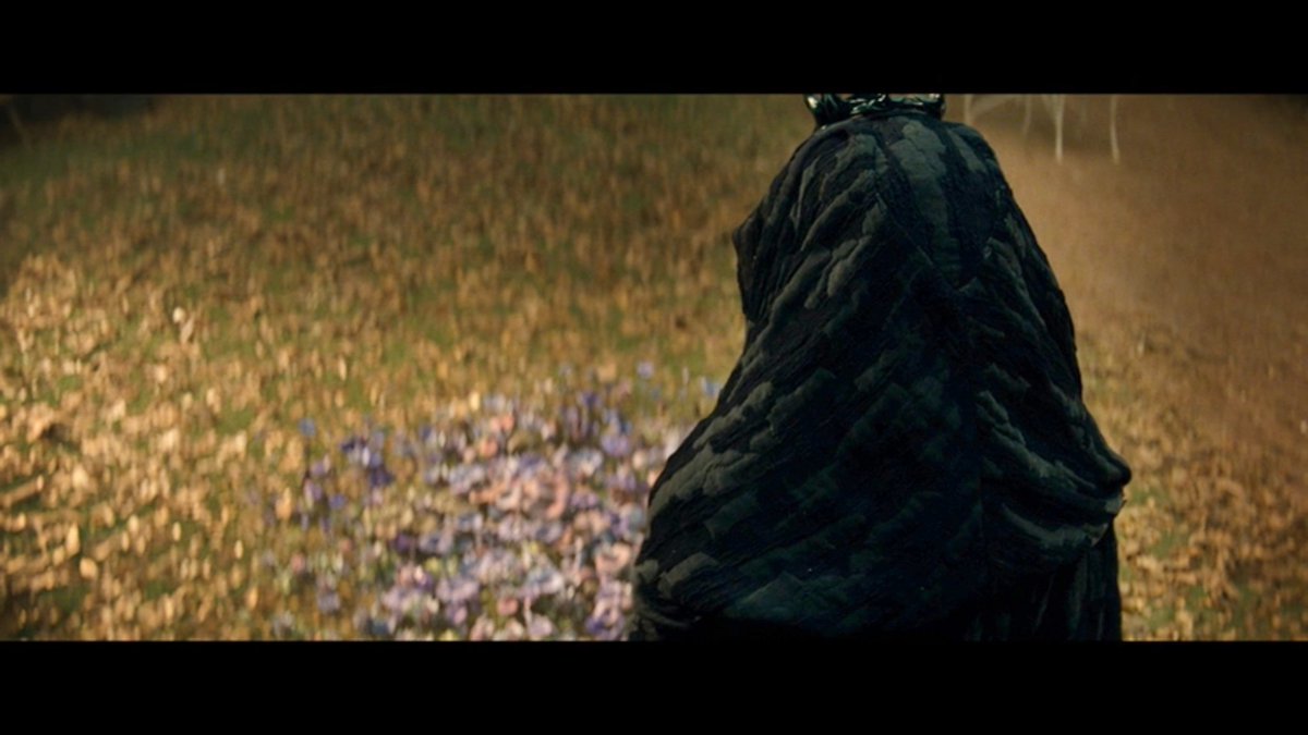 #AgathaAllAlong SPOILERS 

OKAY BUT CAN WE TALK ABOUT RIOS FACE AT HAVING TO TAKE AGATHA??? HOW SHE MADE SURE TO TURN HER INTO A BEAUTIFUL BED OF FLOWERS AND PLANTS #AgathaRio