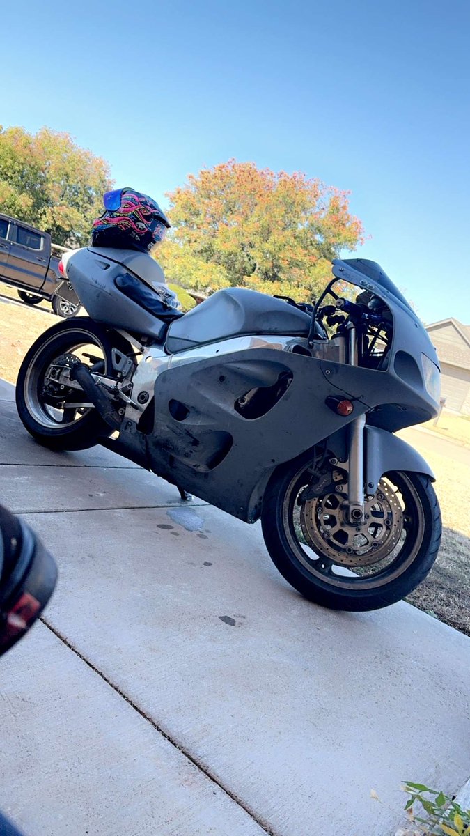 BRabbitLive's tweet image. I am speed 😈