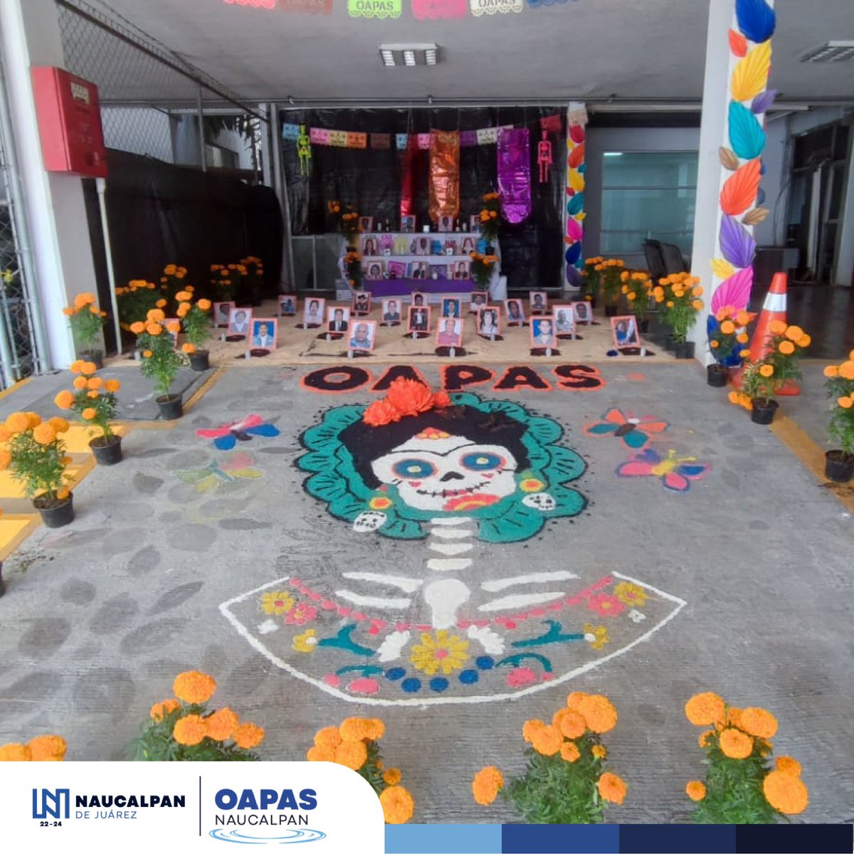 OAPASNau's tweet photo. El Día de Muertos es una de las tradiciones más emblemáticas de México. Mantener viva esta celebración permite que las nuevas generaciones se conecten con sus raíces y comprendan la riqueza de su herencia cultural. En #OAPAS lo sabemos y lo impulsamos https://t.co/gMua9M83E2