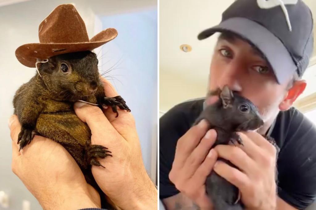 nypost's tweet photo. Beloved pet squirrel Peanut seized by New York state after 7 years in home https://t.co/QSBmxgLovz https://t.co/QLKsSwyJJl