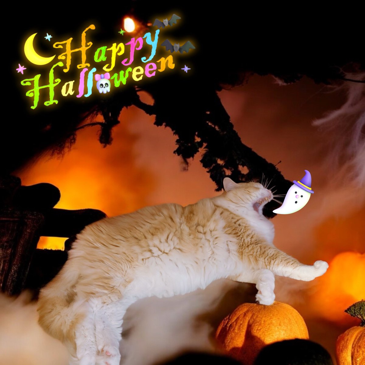 ARAKINGdotJP's tweet photo. はぴはろ〰︎🎃 https://t.co/7oR5kbRotj