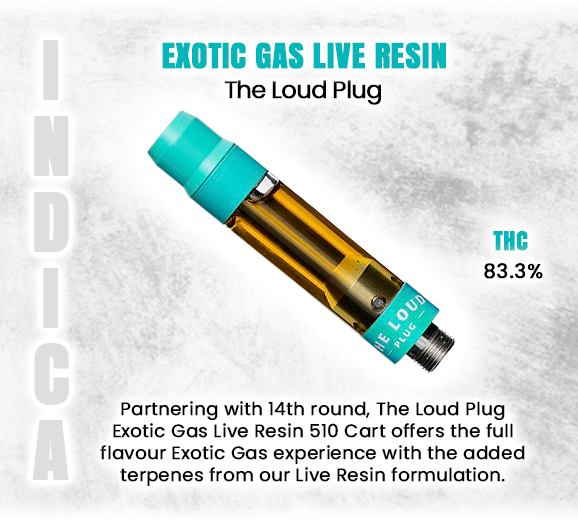 Social_GrandCan's tweet photo. #ExoticGasLiveResin #TheLoudPlug #CannabisConcentrates #LiveResin #PremiumCannabis #CannabisExtracts #HighPotencyCannabis #LoudPlug #FlavorfulCannabis #LiveResinExperience #CannabisCulture #CannabisConnoisseur #HighQualityExtract #ConcentrateLover #GrandCannabis https://t.co/ntAukCWTCJ