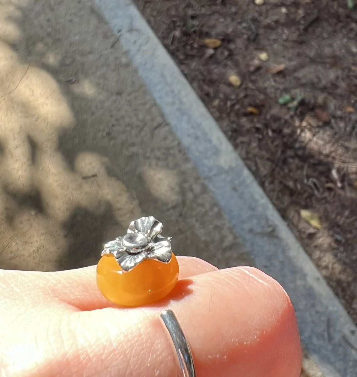 jewels__gems's tweet image. 가을에는 감 (?)