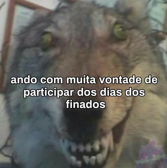 imacbdegen tweet picture
