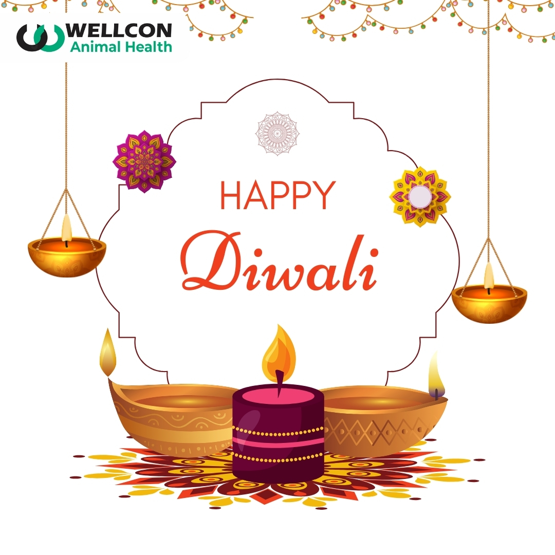 WellconAH's tweet photo. 🪔 Happy Diwali 🪔

#diwali #happydiwali #festival #india #diwalidecorations #diwaligifts #love #instagram #diwalivibes #diwalidecor #deepavali #instagood #festiveseason #diwalihampers #fashion #homedecor #festivevibes #indianfestival #mumbai #photography #diwalicelebration https://t.co/KzjhhSKUnd