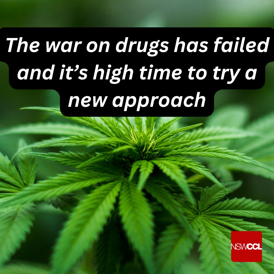 NSWCCL's tweet photo. The interim report on the inquiry into impact of the regulatory framework for cannabis in New South Wales is out and offers a bare minimum step the Minns government can take right now. Read our full release here: https://t.co/BwvczL0fPg https://t.co/TJGXJztcTu
